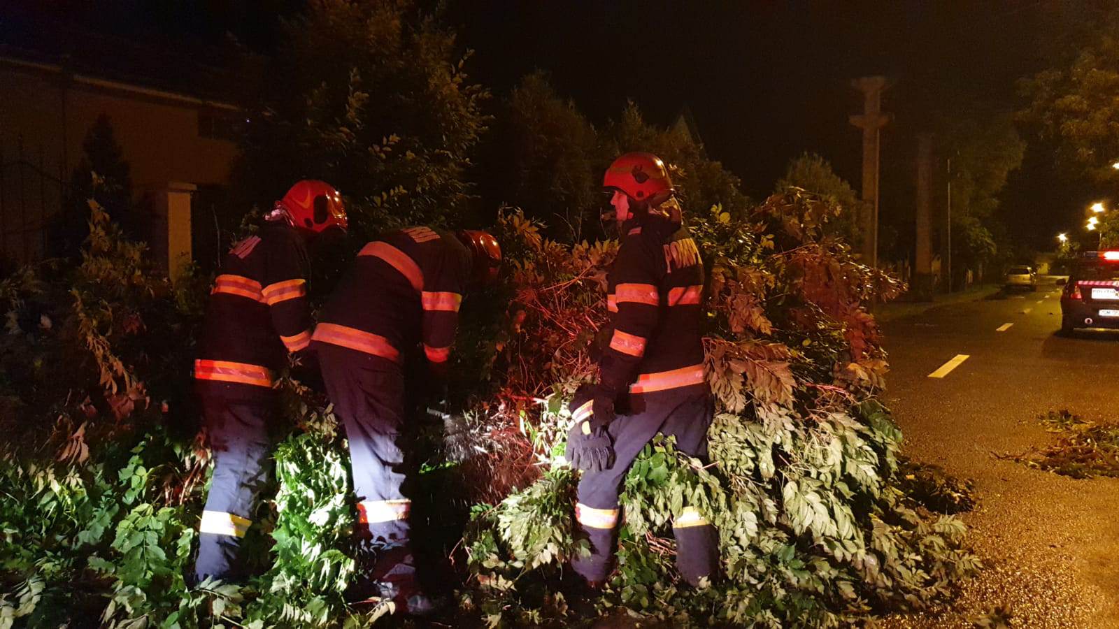 FOTOGALERIE. Furtuna a făcut prăpăd la Satu Mare