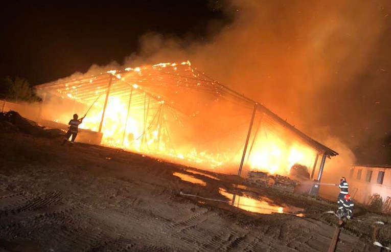 FOTOGALERIE. Incendiu de proporții la o fermă din județ. Zeci de animale în pericol
