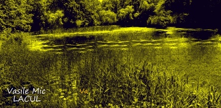 CRONICA LITERARĂ / Între linii *)