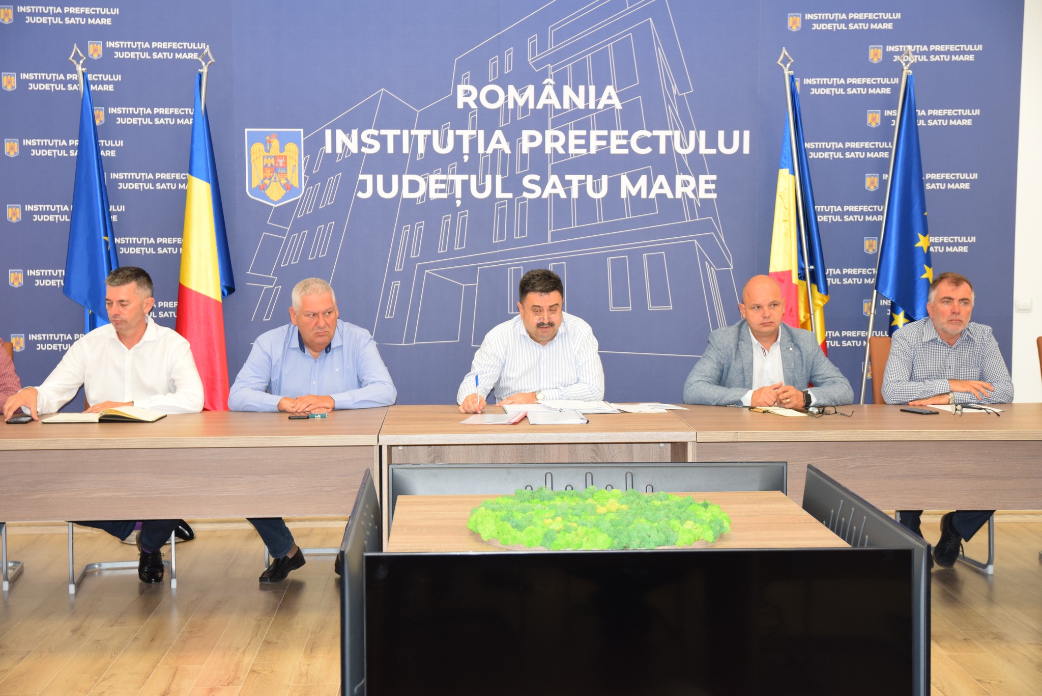 AMBROZIA, din nou în atenția Instituției Prefectului. Sesizări făcute de cititorii GNV