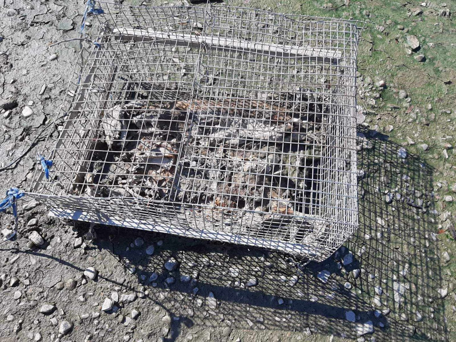 Cât de fără inimă pot fi unii oameni...