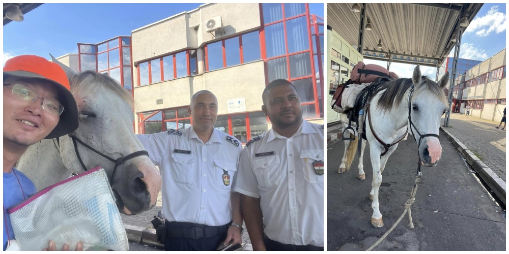 Chinezul și calul,  la Satu Mare