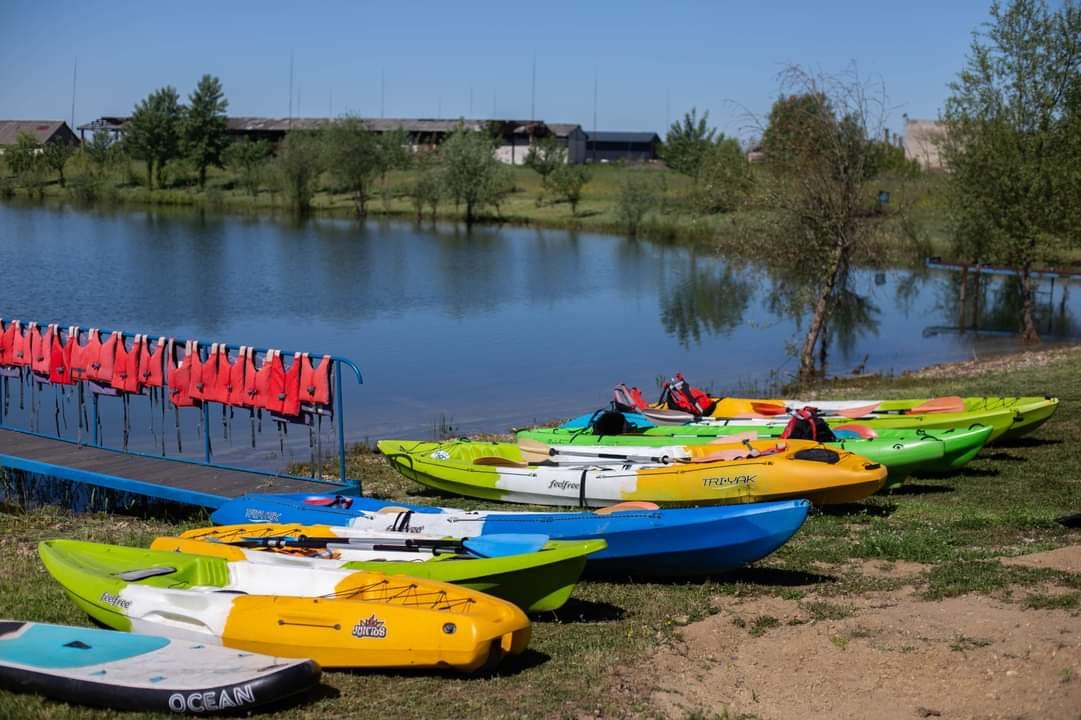 Consiliul Judeţean Satu Mare continuă să susțină activitățile asociațiilor nonprofit