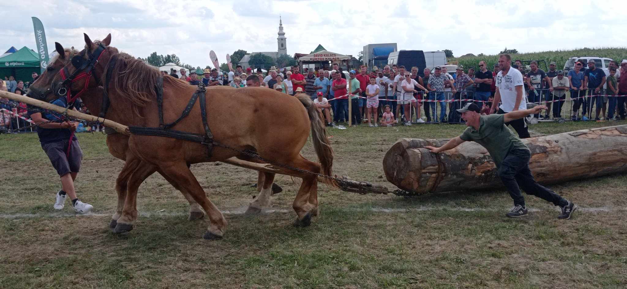 EVENIMENT. FOTOGALERIE. Sărbătoarea câmpenească de la Mădăras a fost una de succes