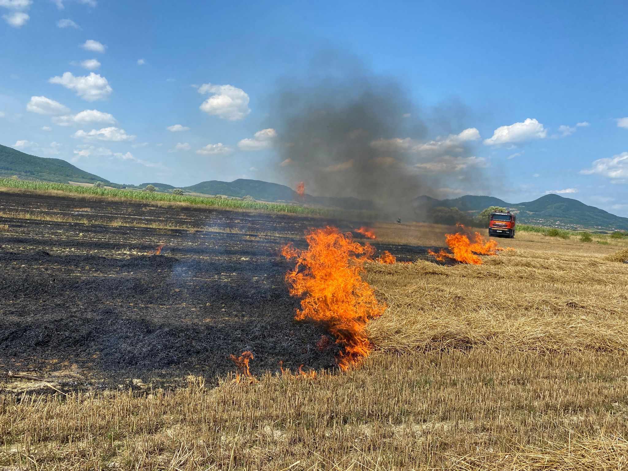 Două incendii de vegetație uscată în localitatea Turț