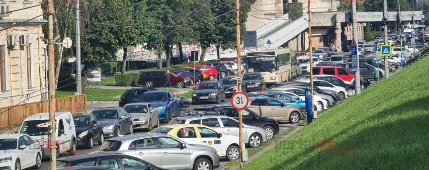 În trafic, ca în junglă!