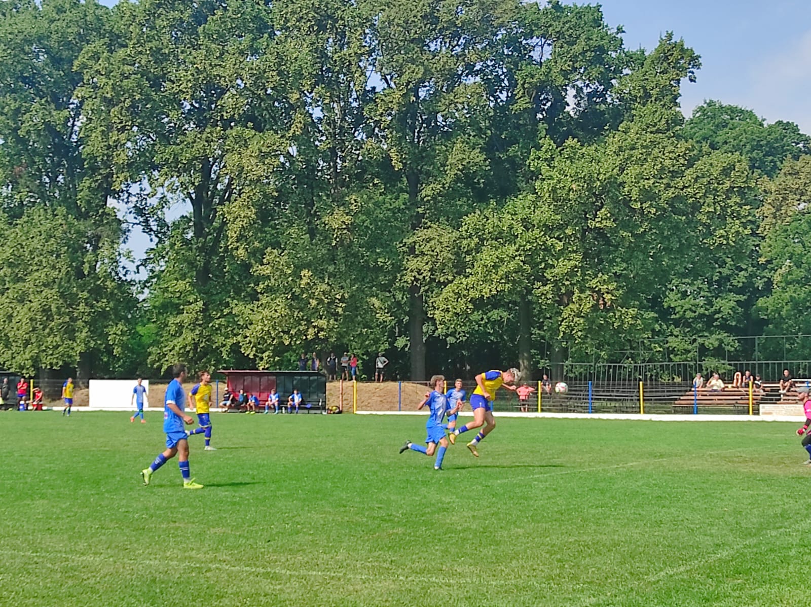 Amical de ZECE! CSM Olimpia Satu Mare- Lăpușul Târgu Lăpuș 10-0!