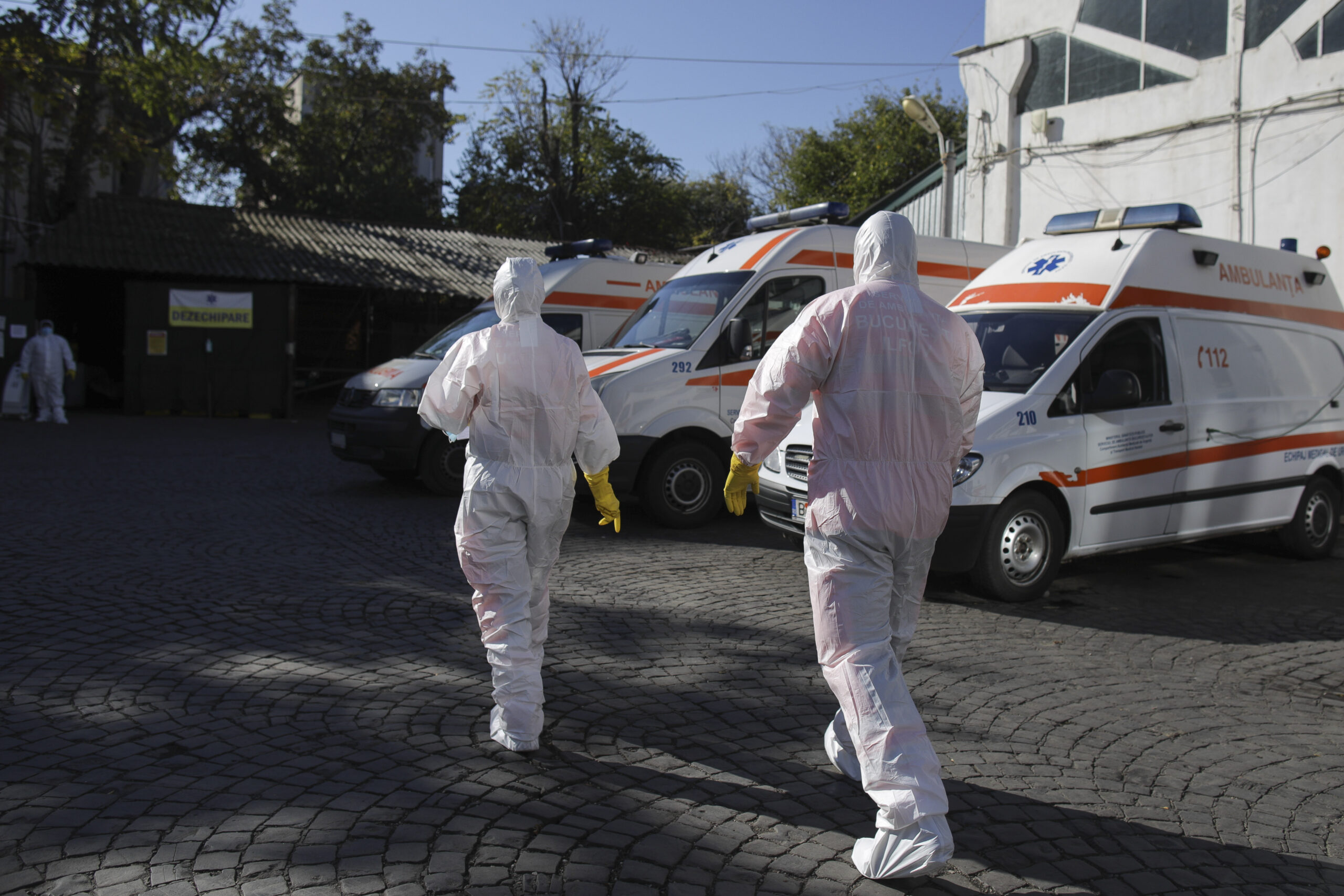 ALARMĂ. Un sătmărean este primul român ucis de virusul West Nail