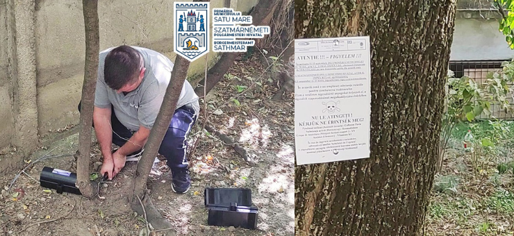 Au început acțiunile de deratizare în zona blocurilor din Satu Mare