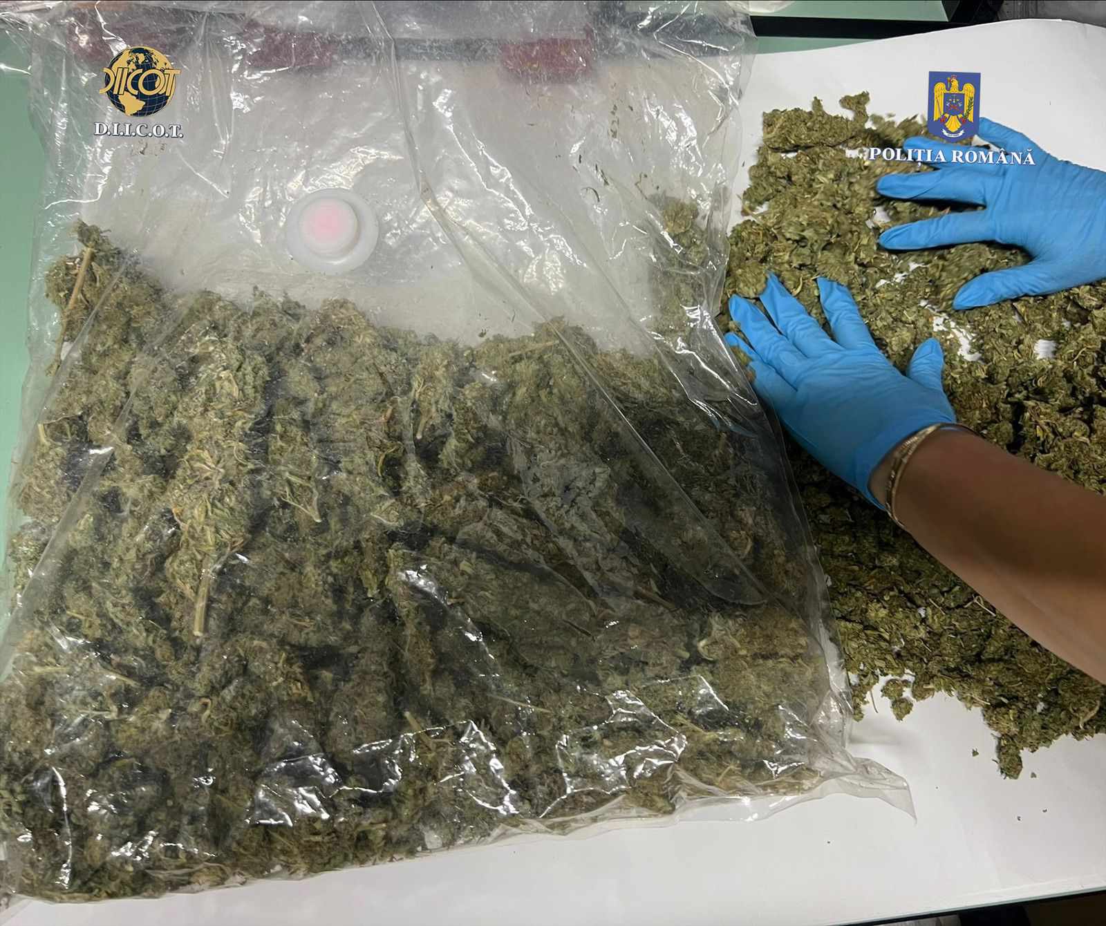 Bărbat reținut pentru trafic de droguri de risc și pentru conducerea unui vehicul sub influența alcoolului sau a altor substanțe