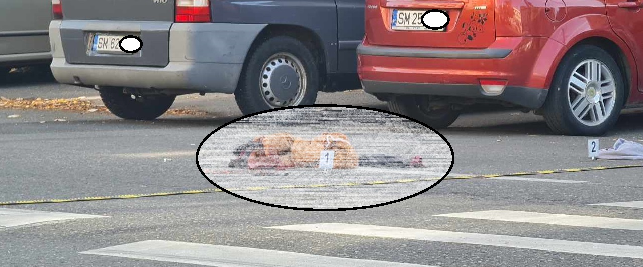 FOTOGALERIE. Accident grav în Satu Mare. Sătmăreancă, lovită de un camion pe trecere