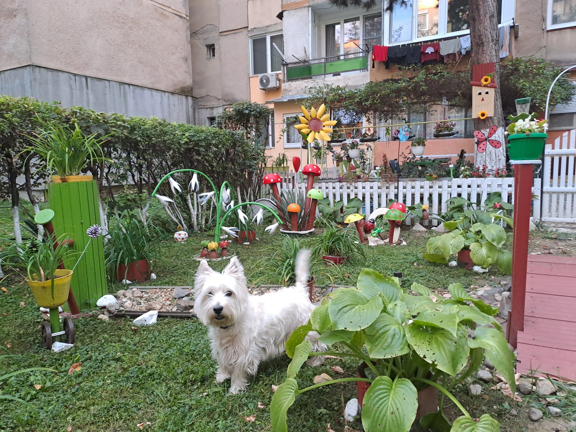 Poveste din spatele blocului