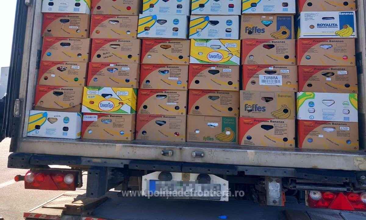 Contrabandă oprită la Petea: 15 TONE de produse second-hand interzise în România!