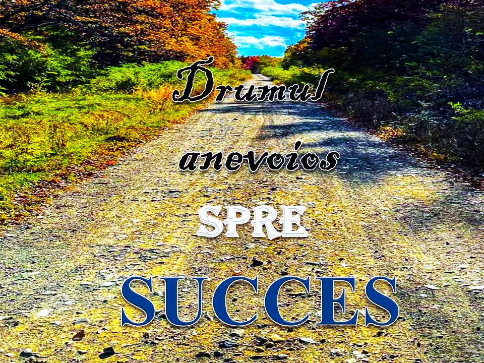 VERTICALI PENTRU ROMÂNIA: CONFESIUNI  DE DINCOLO ...  DE PE ULIȚĂ!  Partea a II-a