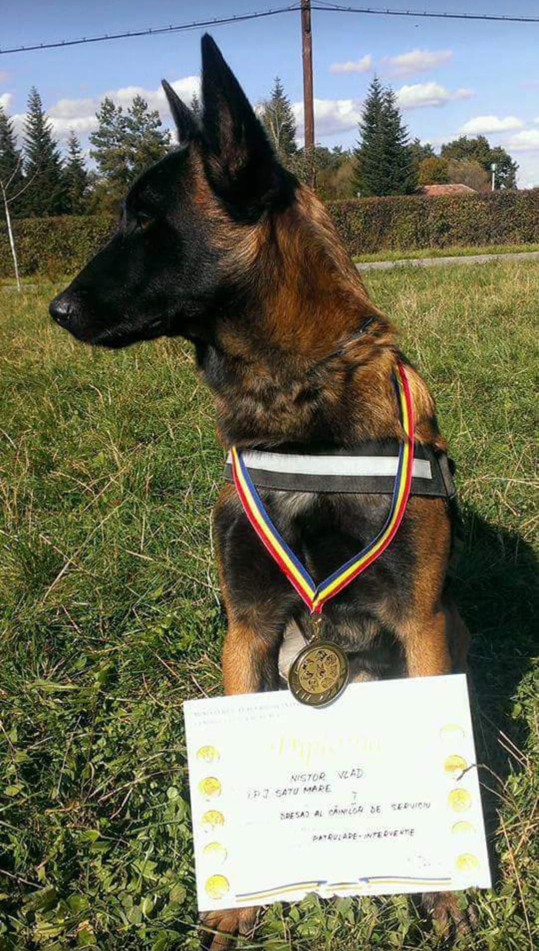 ARES, câinele de serviciu al Inspectoratului de Poliție Județean Satu Mare, a trecut în rezervă