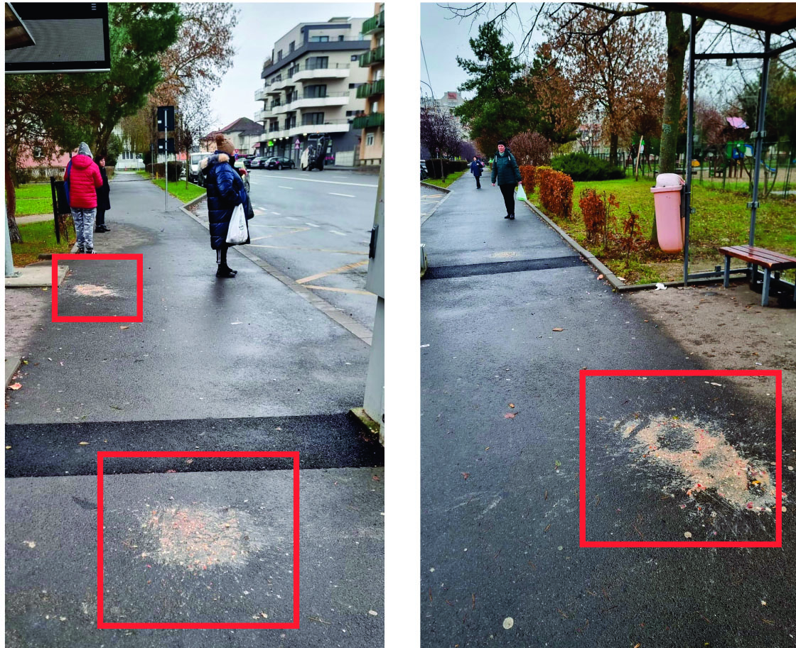 Vin sărbătorile, vin...