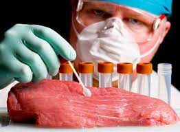 Programul în weekend a examenelor trichineloscopice și asistență de specialitate în domeniul igienei alimentare