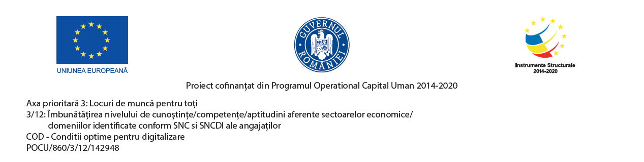 Rezultate obținute de către CCIA Satu Mare în cadrul proiectului COD - Condiții optime pentru digitalizare, ID proiect 142948