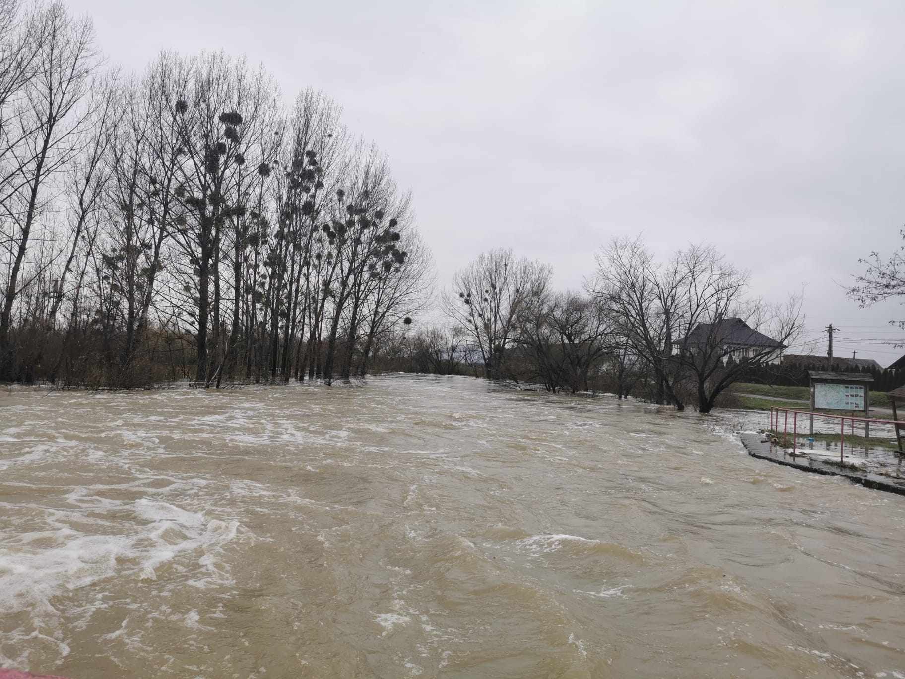 ALARMĂ. COD GALBEN și PORTOCALIU de inundații în județ !