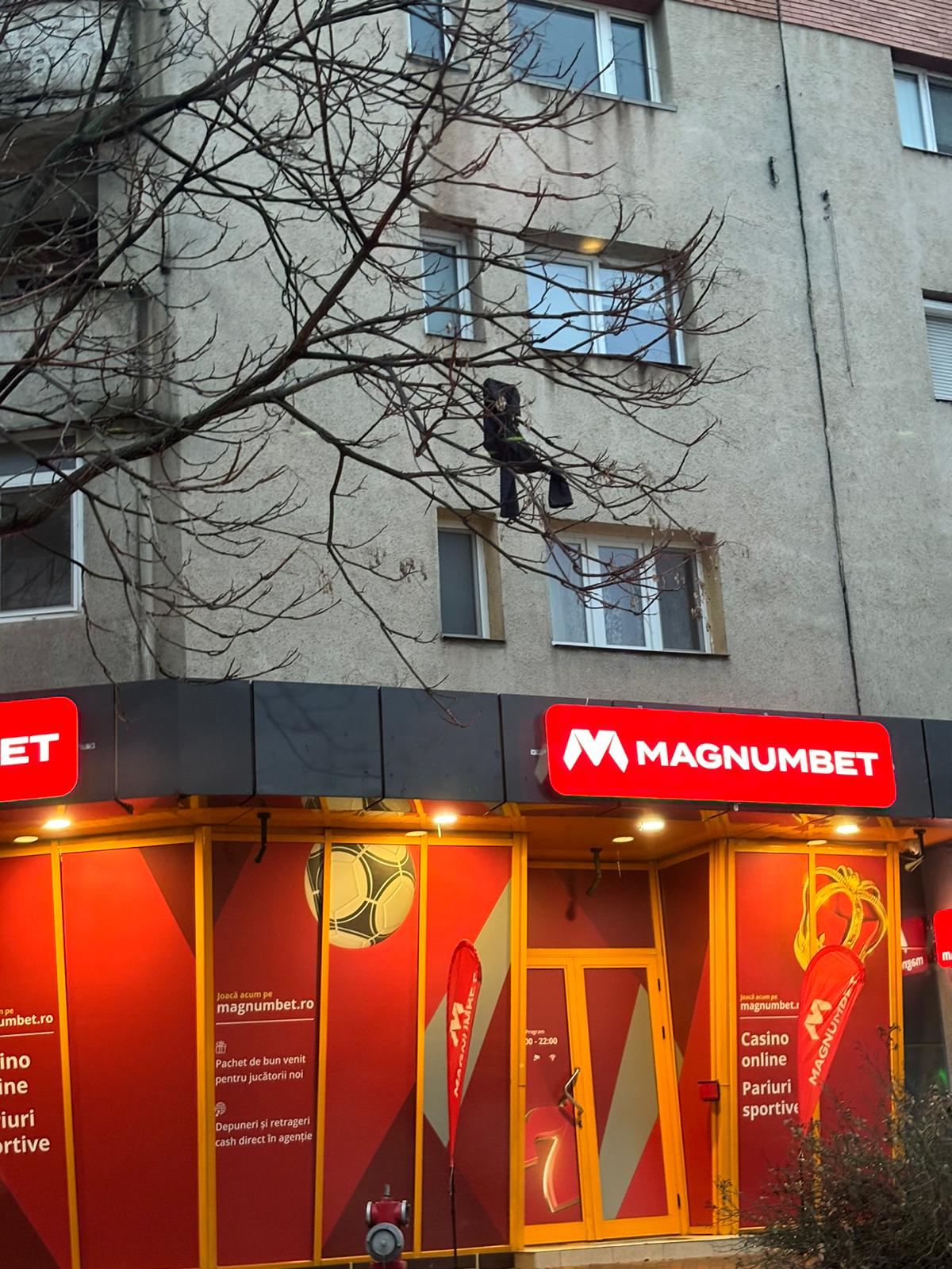 Cresc haine în copaci