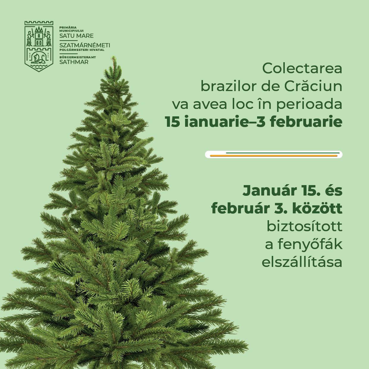 Acțiunea de strângere a brazilor de Crăciun, la Satu Mare