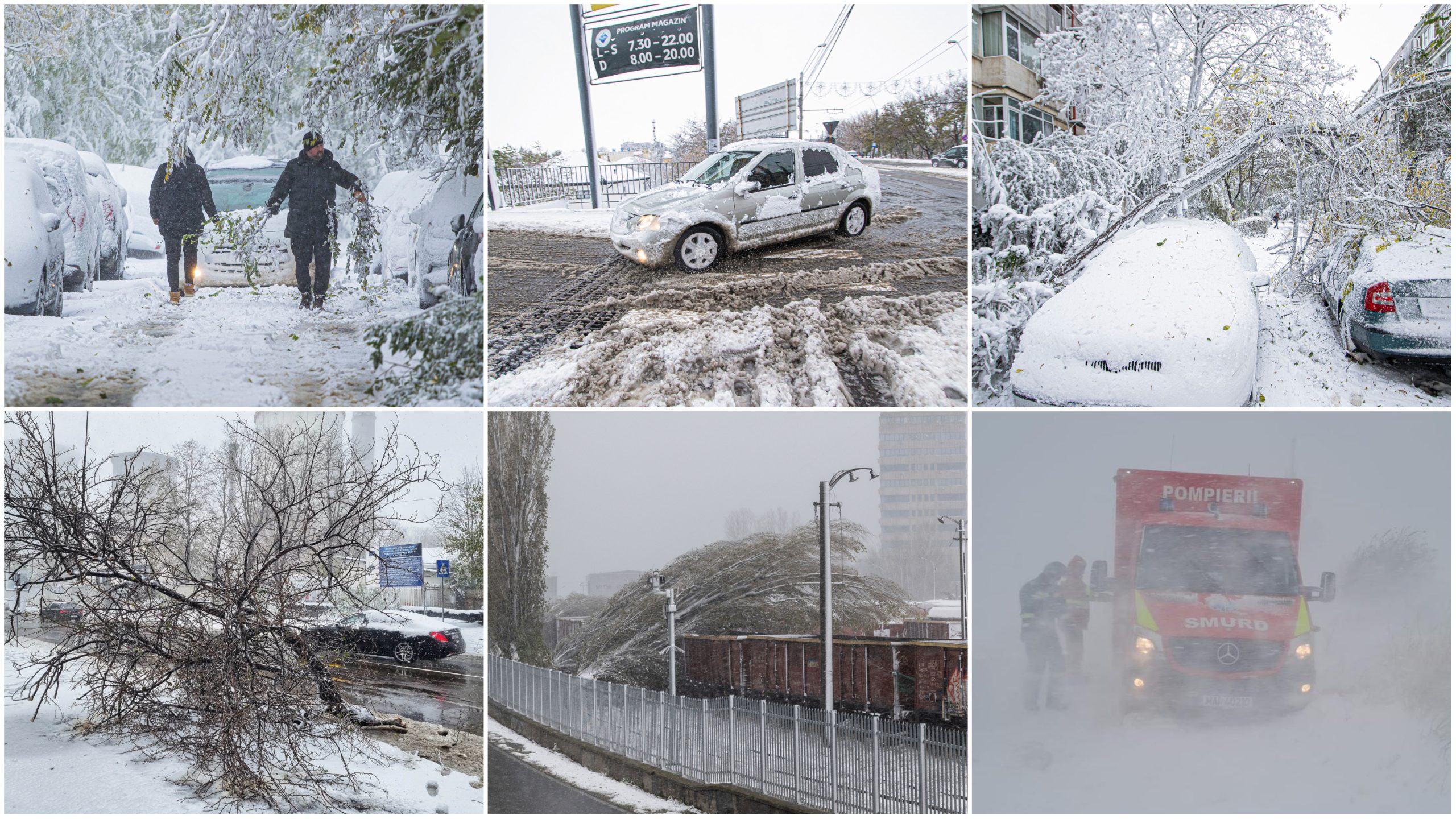 VISCOL. Prăpăd în România