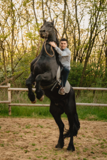 Lupul își schimbă părul, dar năravul ba. Atacurile frontale la UDMR și PSD au la bază în primă fază două posturi în conducerea Spitalului Județean