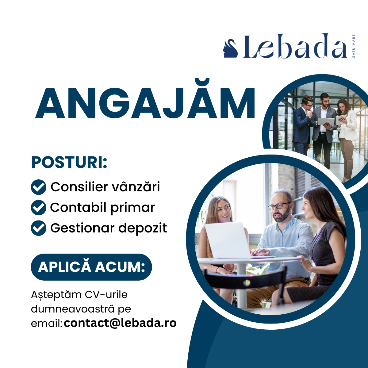 LEBĂDA face angajări. Ce se caută