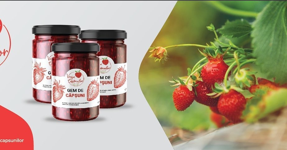 Povestea de succes Vraja Căpșunilor – de pe câmp până în borcanul de pe masa ta
