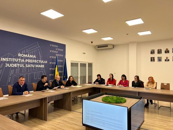 Ședința Comisiei Județene privind Incluziunea Socială Satu Mare