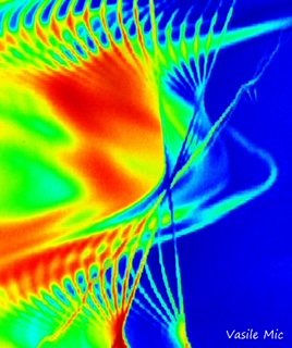 PROZĂ. Amintiri din catacomba