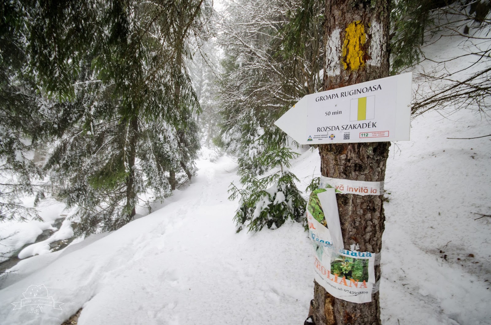 Locuri de poveste din județul Bihor numai bune de vizitat iarna