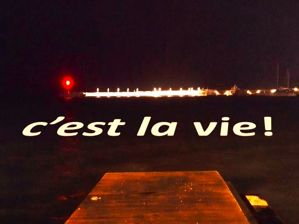 VERTICALI PENTRU ROMÂNIA: CONFESIUNI DE PE COLBURILE  EUROPEI – PAGINI DIN ISTORIA CENUȘIE A MIGRAȚIEI ROMÂNEȘTI