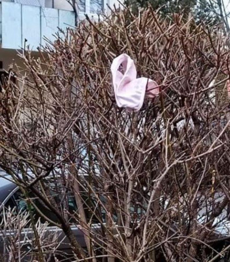 A-nceput de ieri să cadă…