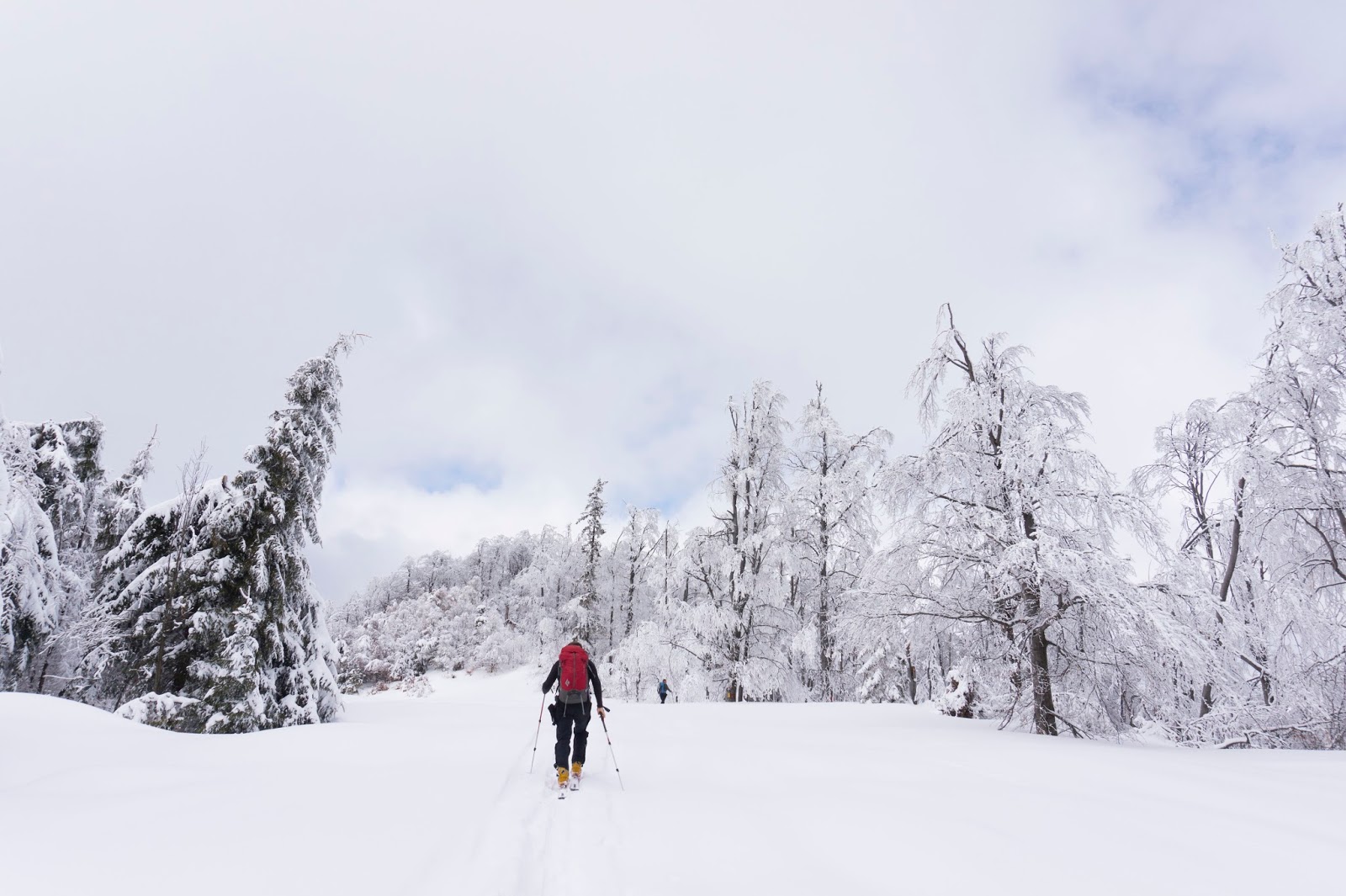 Destinații de week-end. Drumeție plină de aventuri pe Gutâiul Mic