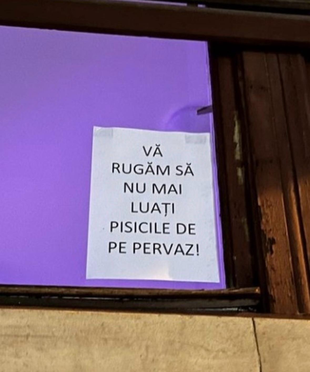 Dispar pisici de pe pervaz