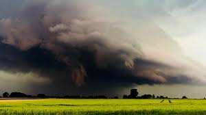 BILANȚ CJSU. Vremea a făcut prăpăd la Satu Mare anul trecut. Peste 2.300 ha calamitate