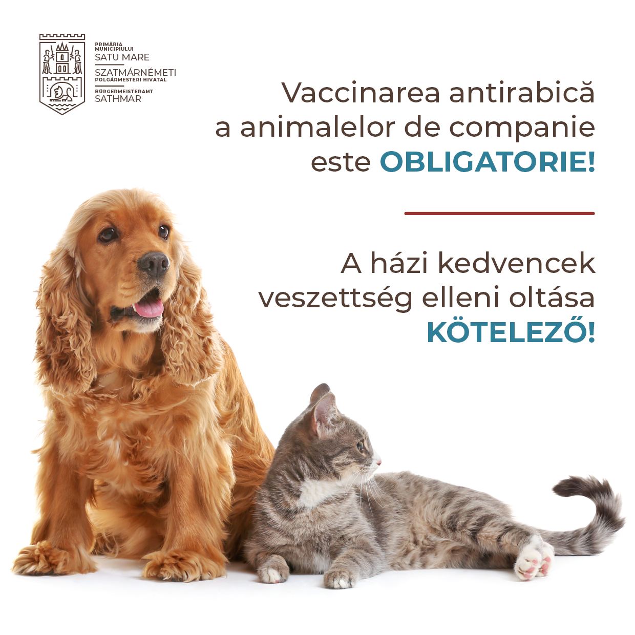 Proprietarii de câini au obligația de a-și vaccina antirabic animalele