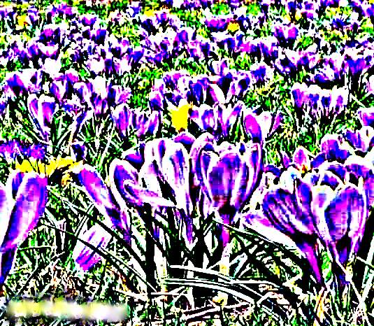 Otilia Cazimir. Primăvară în glumă