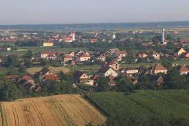 Istoricul localității Botiz