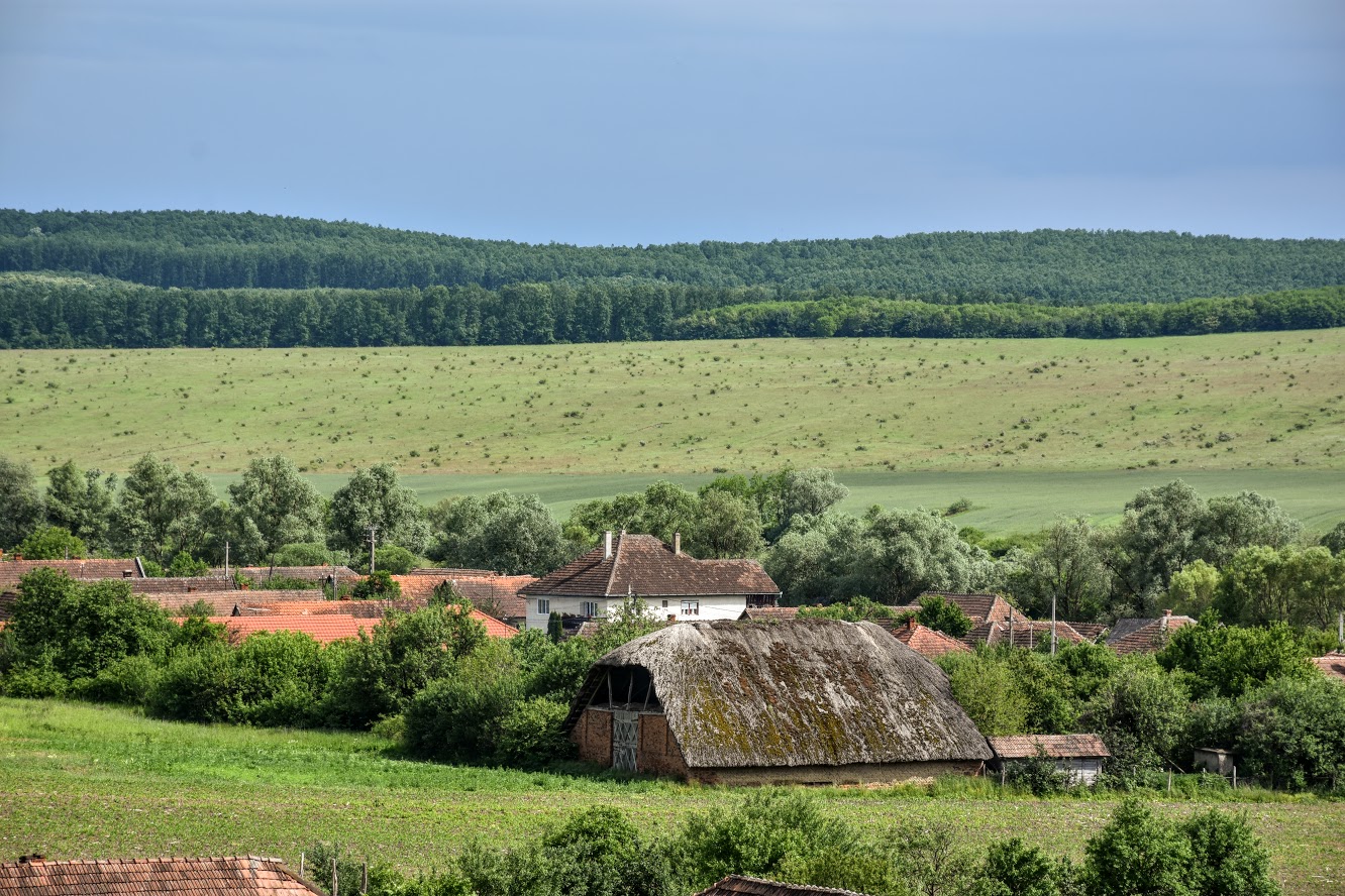 Cum era prezentat Hurezu Mare de către cronicarii vremii, cu mai bine de trei secole în urmă