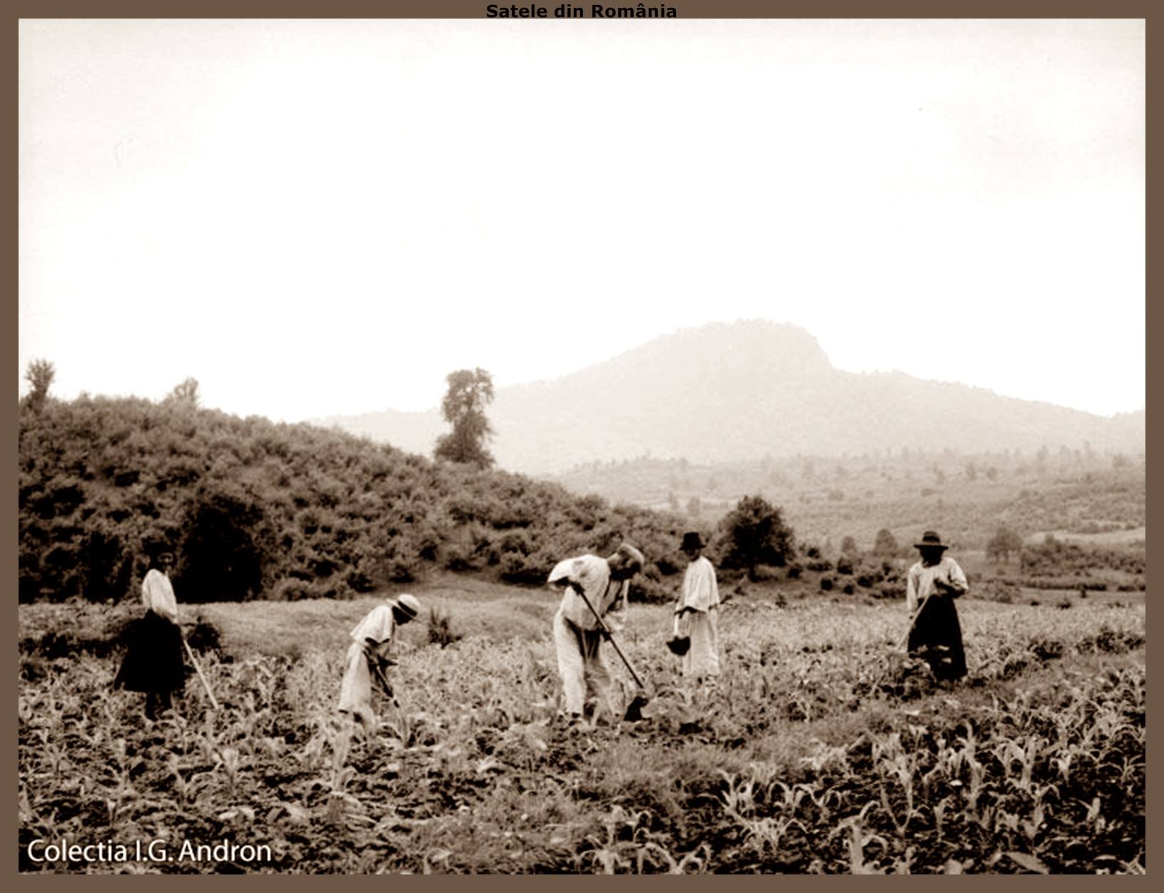 Profilul ocupațional în lumea tradițională oșenească