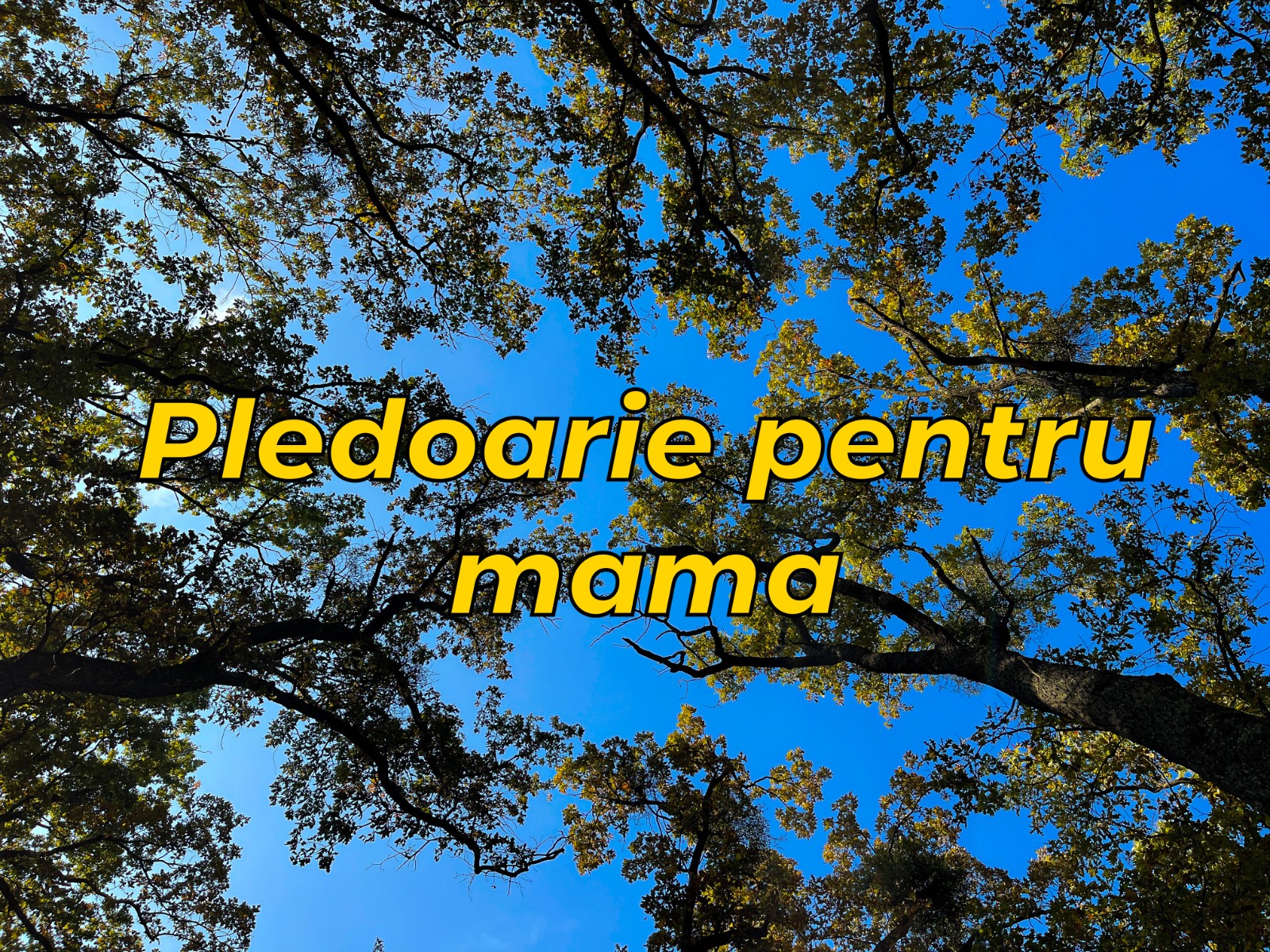 VERTICALI PENTRU ROMÂNIA: RESTITUIRI