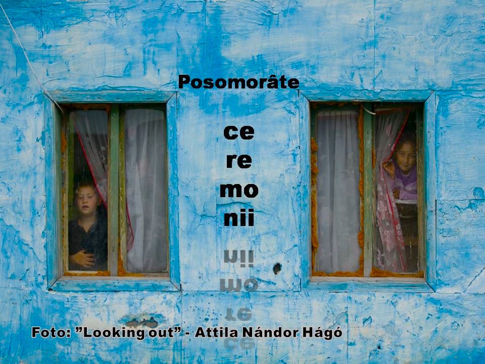 VERTICALI PENTRU ROMÂNIA: FRĂMÂNTĂRILE NEPUTINȚEI