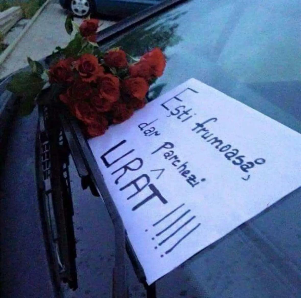 “Ești frumoasă, dar parchezi urât”