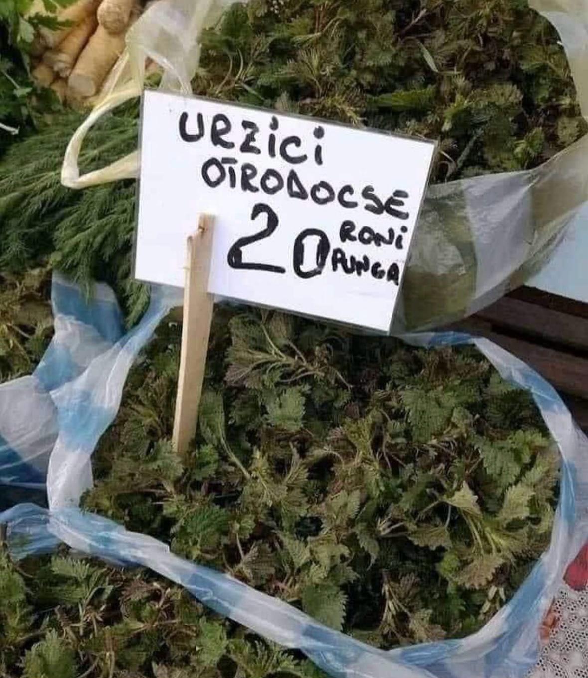 Urzici ortodoxe