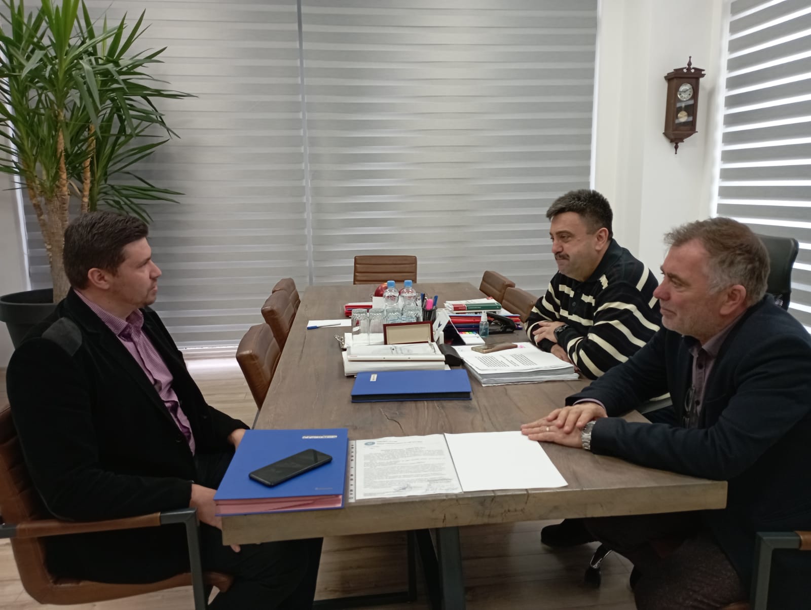 Sprijin pentru apicultori. La nivel de județ există 35.244 de familii de albine