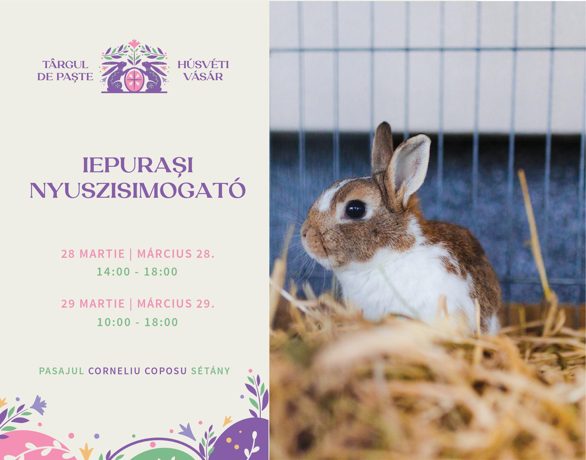 Vedetele pufoase, adică însuși iepurașii, nu lipsesc de la Târgul de Paște