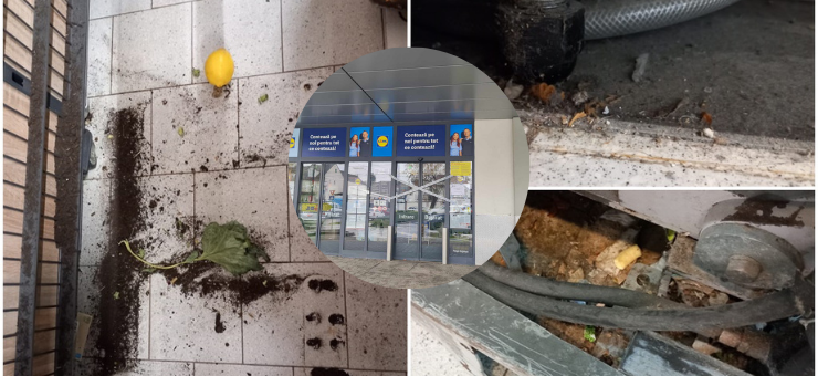 DECIZIE Magazinul Lidl  de pe Rodnei, închis temporar și aspru sancționat de Protecția Consumatorilor