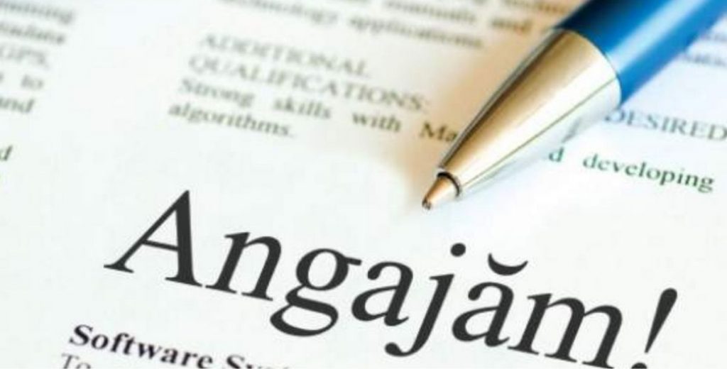 276 locuri de muncă vacante oferite de către Agenția Județeană pentru Ocuparea Forței de Muncă Satu Mare